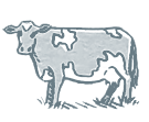 Mini Grey Cow