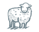 Mini Grey Sheep