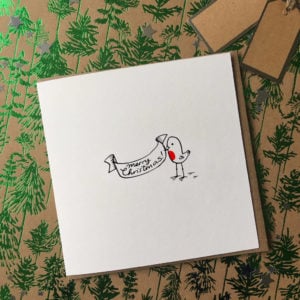 Illustrated Robin Christmas Cards Pack